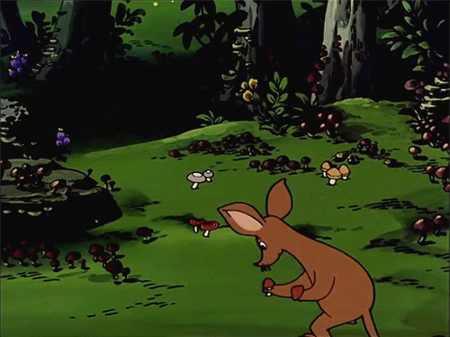 Colour gif of Sniff picking mushrooms in the forest