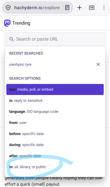 Mastodon web interface showing an options dropdown for the search