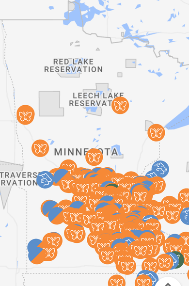 Map of agrovoltaic installations in Minnesota, mostly clustered in the southern half of the state (map via OpenEI)