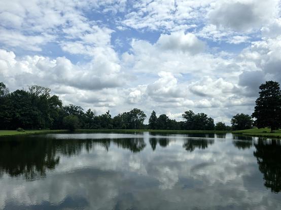 A partly cloudy sky at the tree-lined pond. The water reflects the surroundings. 
You would never know from this sky that I was rained on two times over ~3 miles. Good thing I was wearing black.