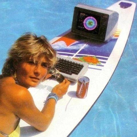An old graphic of a lady lying down on a surfboard with a computer, a keyboard and a drink. She's looking back at you like this shit is normal