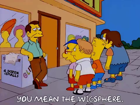 An animated GIF from The Simpsons. Bart, Milhouse, Martin, and Nelson are listening to a man leading up against a large box in front of a shop. In the ship windowed are several mannequins displaying various wigs. A caption reads, ‘you mean the wigsphere’.
