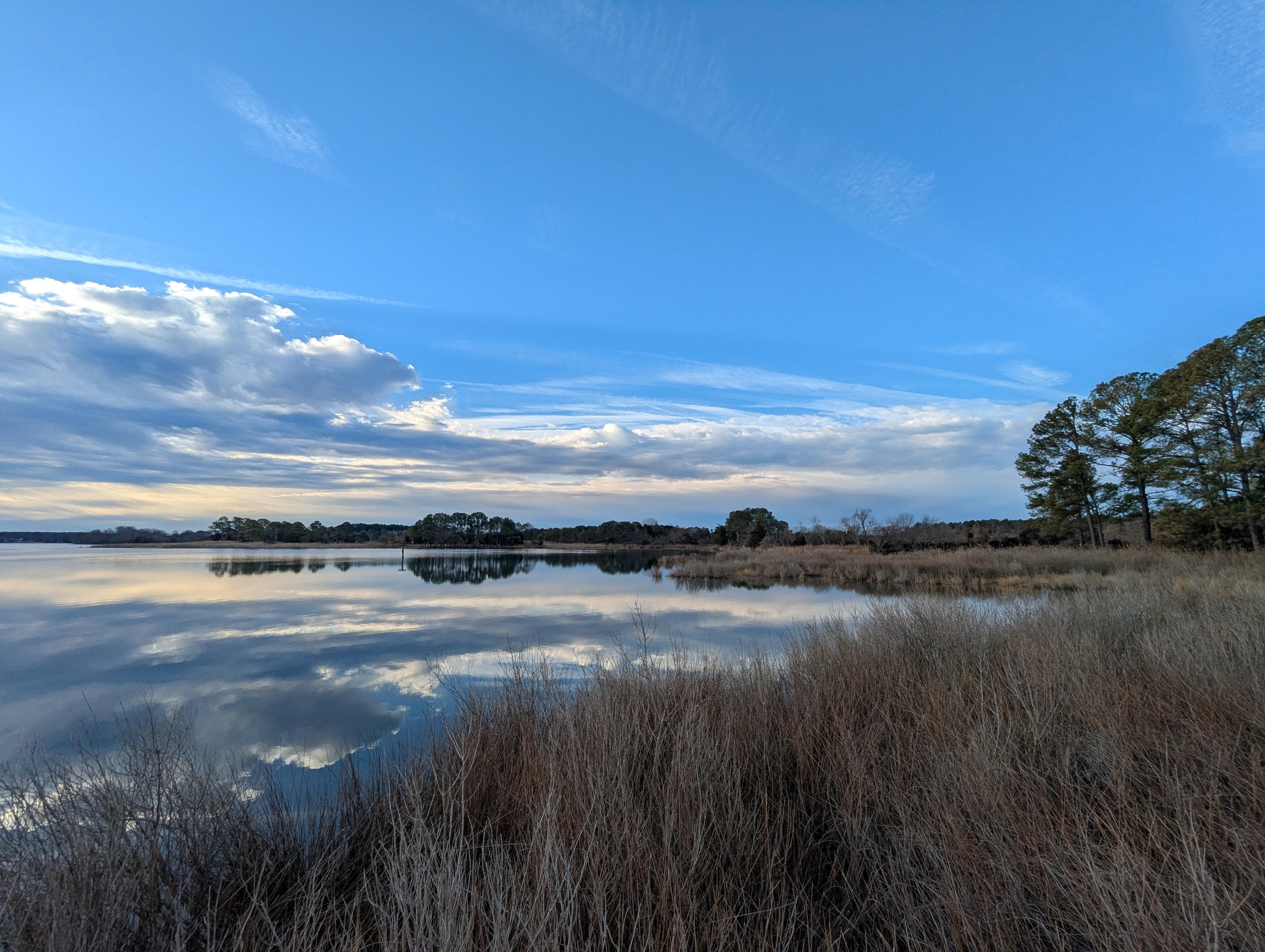 Photo of a calm morning here on Harris Creek. Sun rising low  to the right in a deep blue sky behind a long cloud bank. Marsh is brown and flooded with the high tide. Creek water is rippled and reflects the sun, sky and clouds.