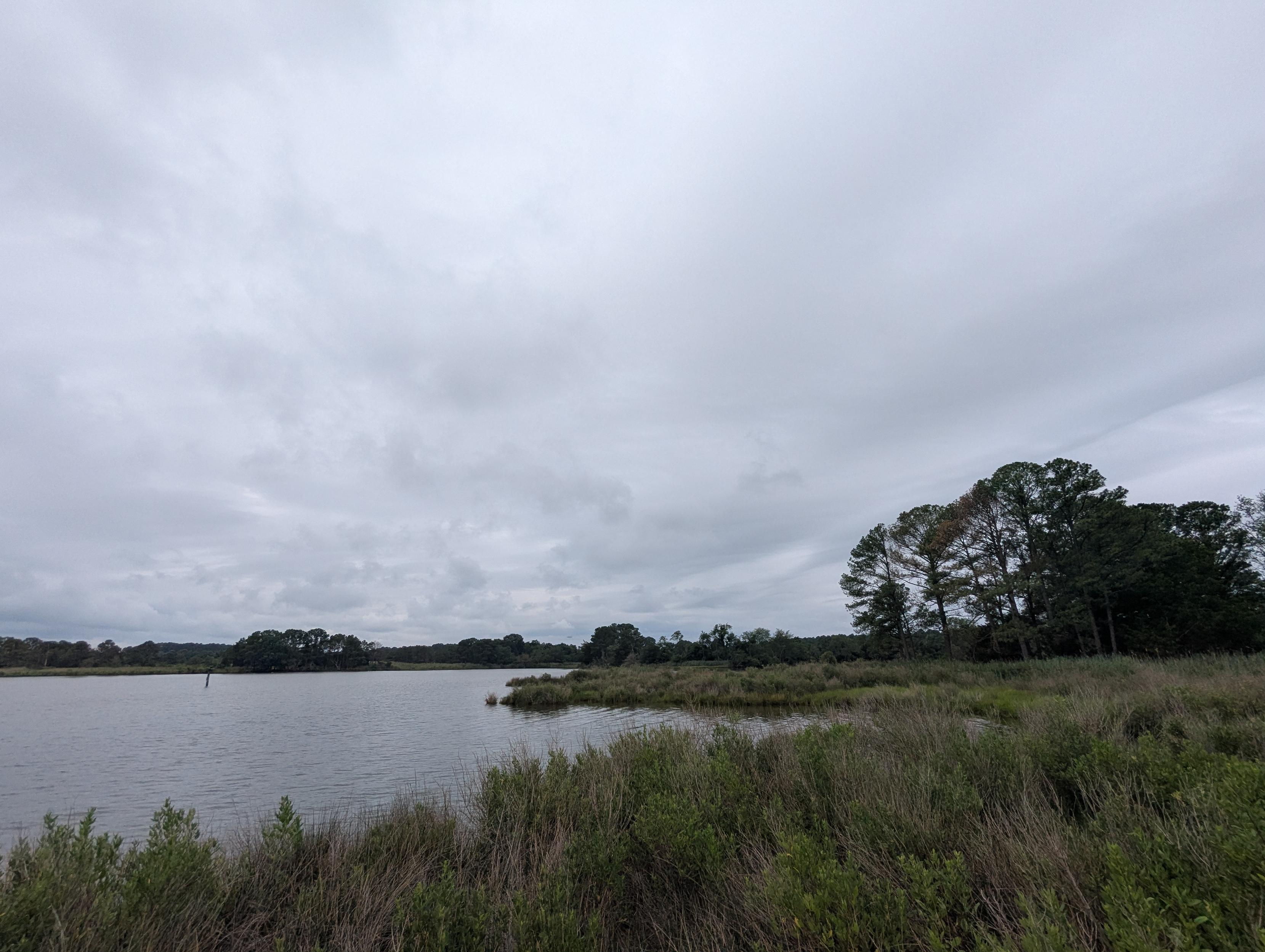 Photo of a grey and drizzly morning here on Harris Creek. Sun rising low to the left behind a solid grey overcast. Marsh is brilliantly green and wet. Creek water is rippled and reflects the sky and clouds.