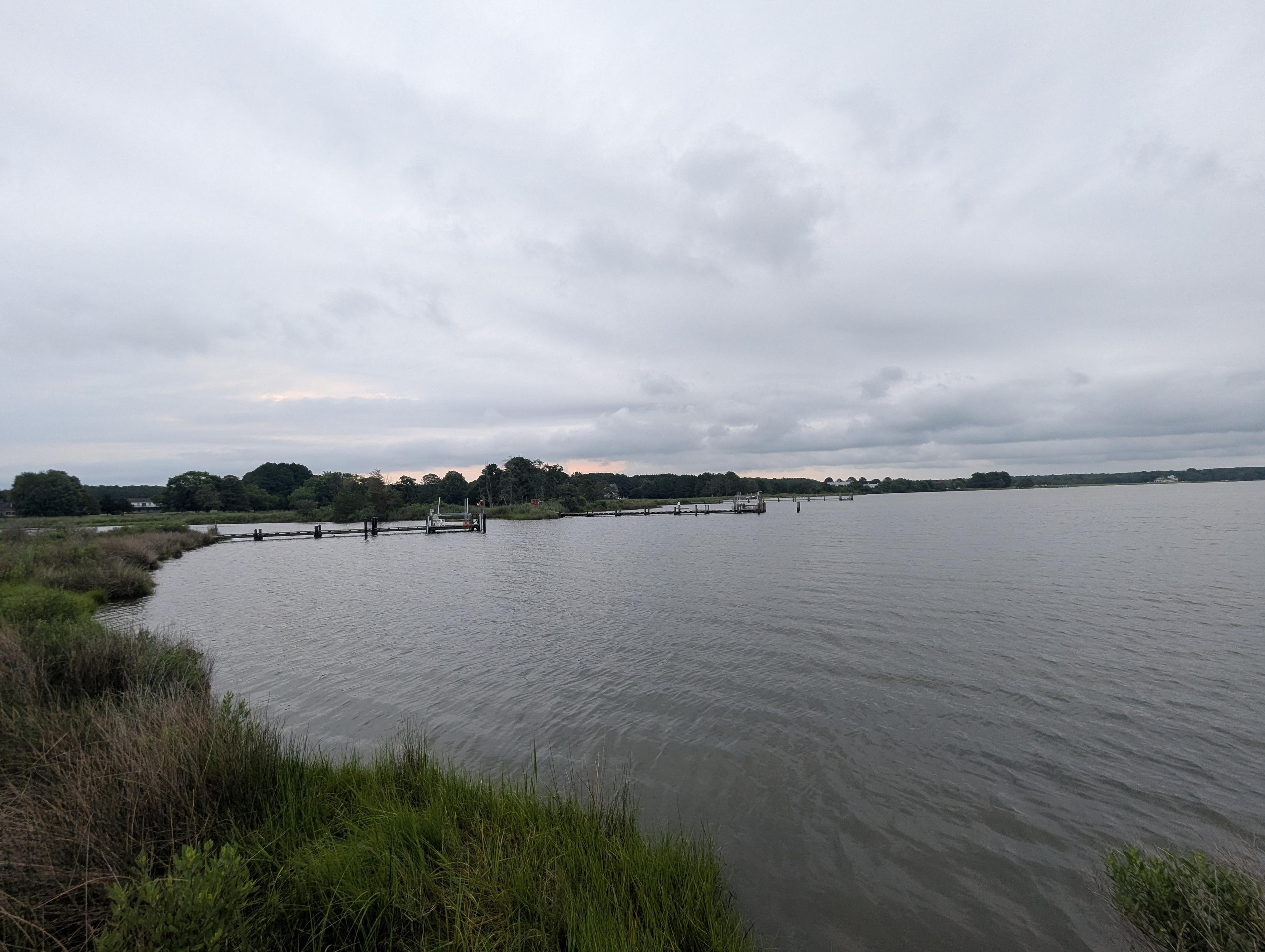 Photo of a grey and drizzly morning here on Harris Creek. Sun rising low to the left behind a solid grey overcast. Marsh is brilliantly green and wet. Creek water is rippled and reflects the sky and clouds.