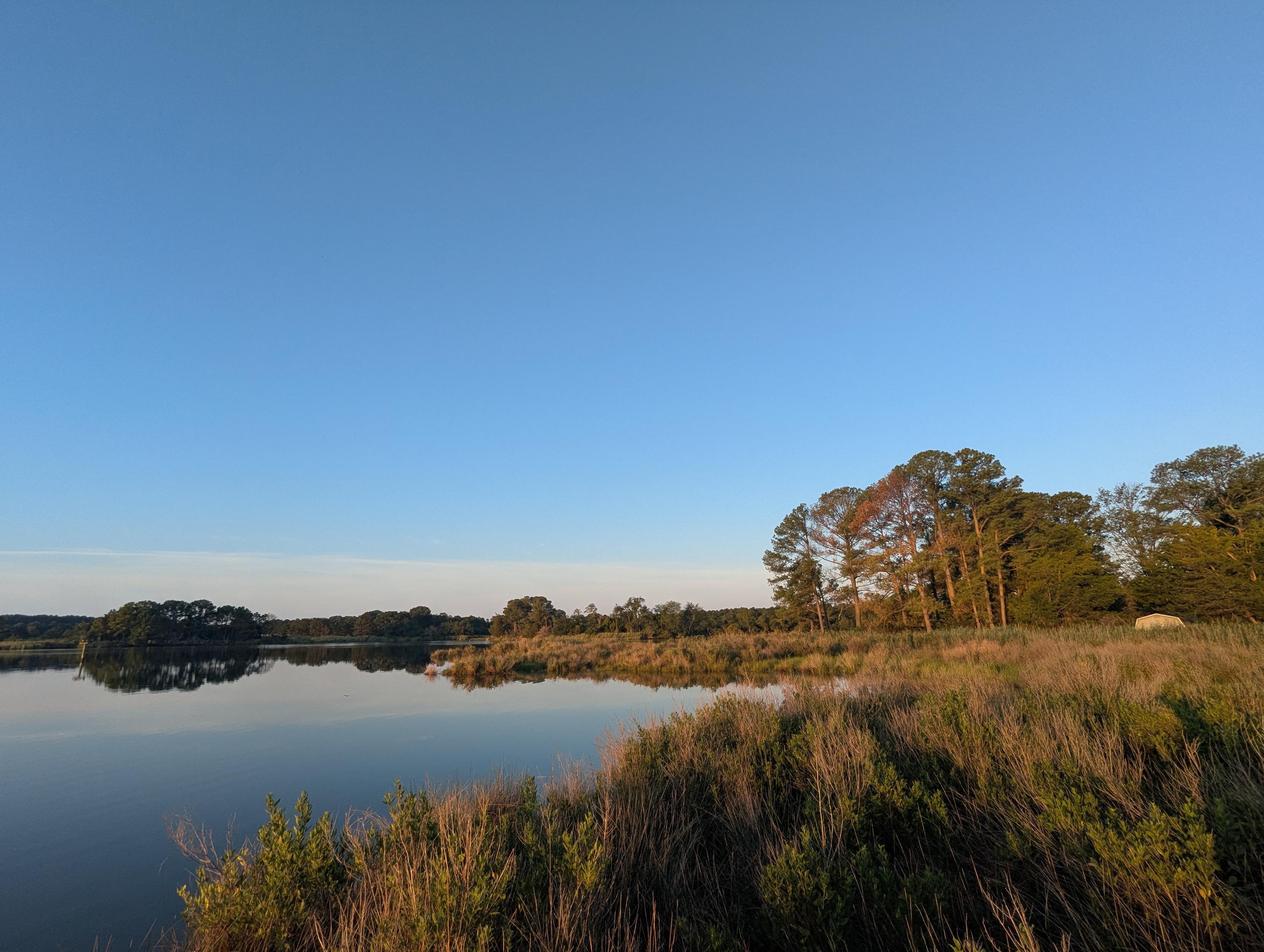 Photo of a calm morning sunrise over Harris Creek. Sun rising low to the left in a clear blue sky. Marsh is brilliantly green and flooded. Creek water is rippled and reflects the sun and sky.