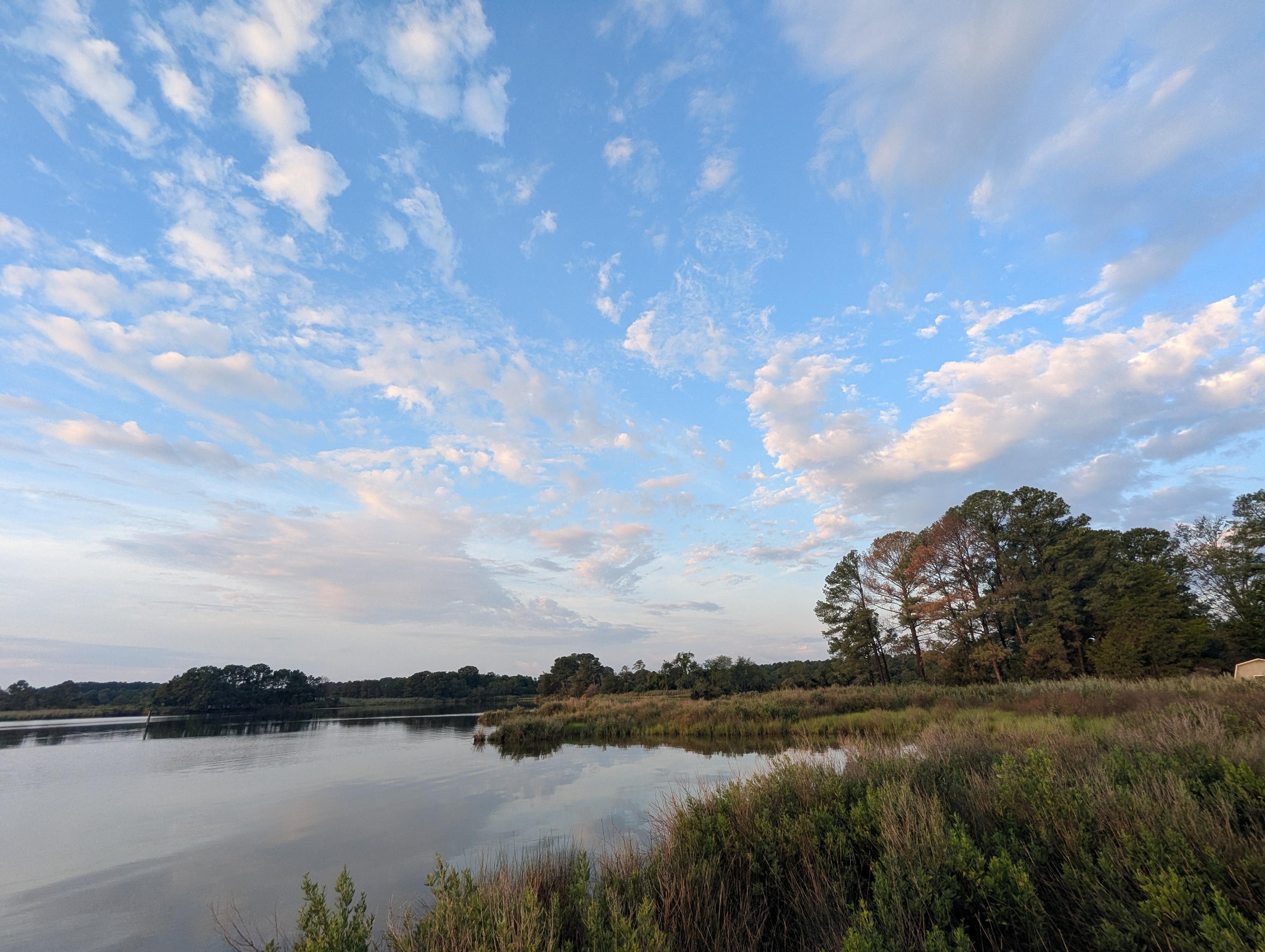 Photo of a calm morning sunrise over Harris Creek. Sun rising low to the left in a pale blue sky. The horizon is lit orange. Scattered mid level clouds ride the sky.