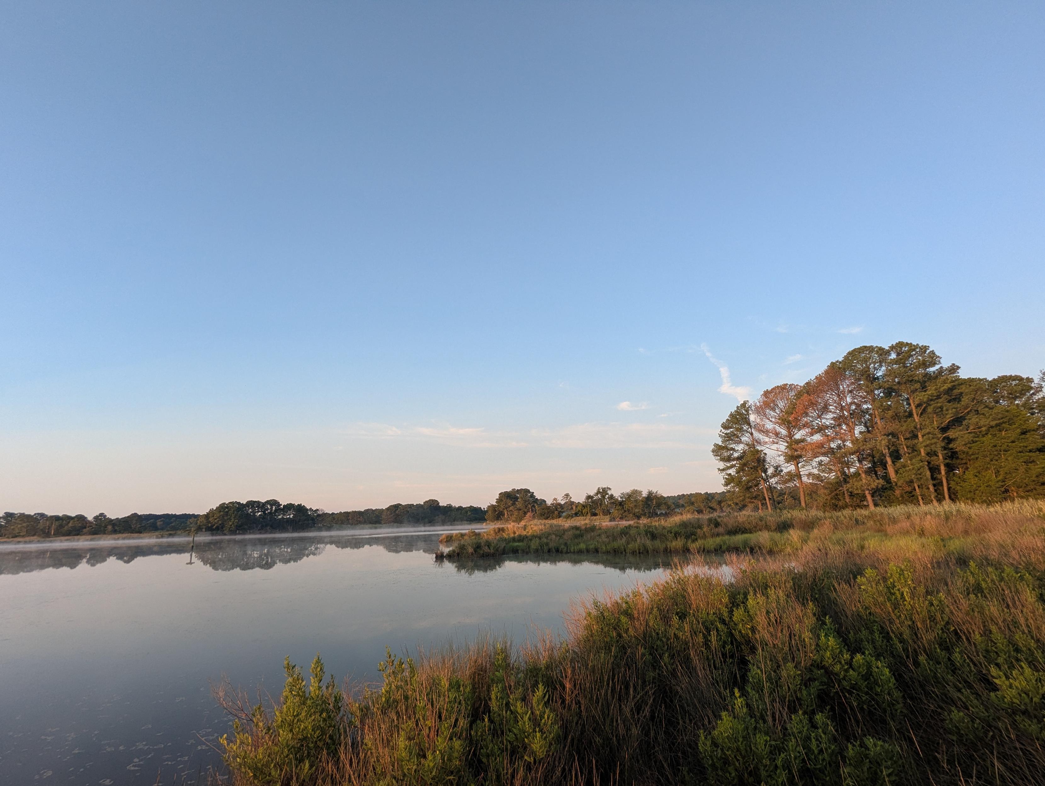 Photo of a calm morning sunrise over Harris Creek. Sun rising low to the left just over the horizon. Sky is pale blue and slightly hazy. Wispy fog rises close from the water. Marsh is brilliantly green and wet with the morning dew. Creek water is rippled and reflects the sun and sky.