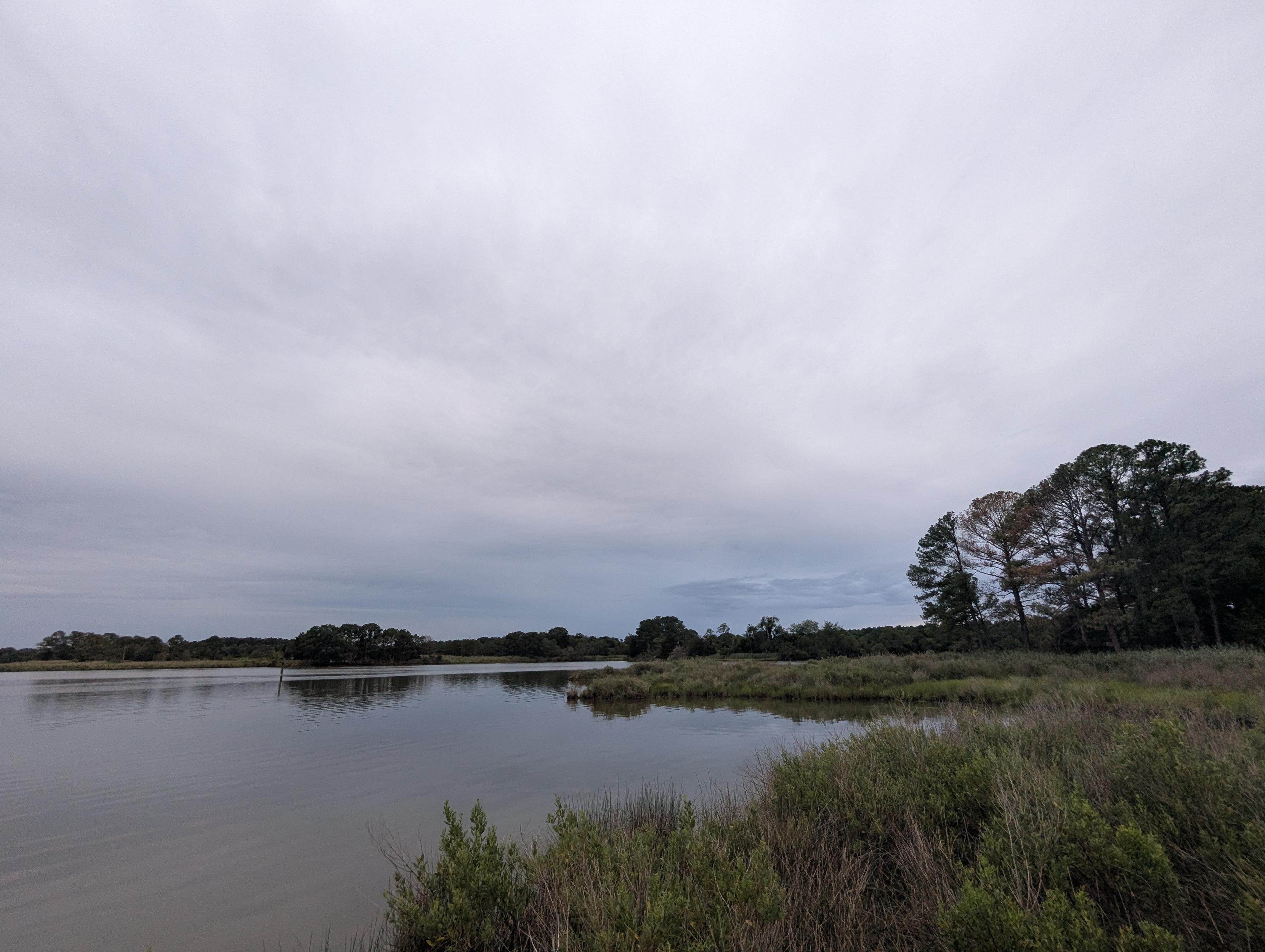 Photo of a grey, drizzly and chilly July morning here on Harris Creek. Sun rising low to the left behind a solid grey drizzly overcast. Marsh is brilliantly green and wet. Creek water is rippled and reflects the sky and clouds.