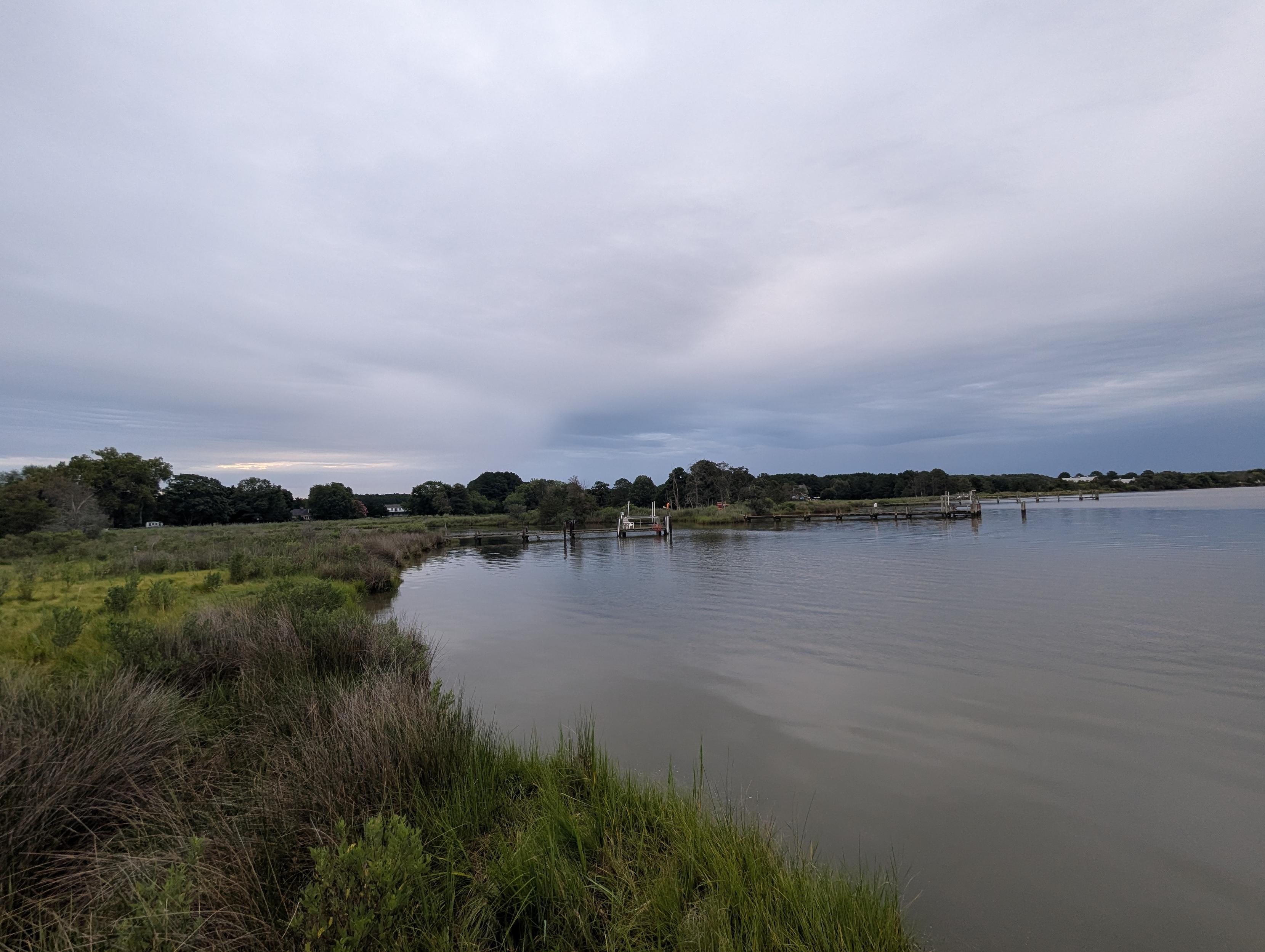 Photo of a grey, drizzly and chilly July morning here on Harris Creek. Sun rising low to the left behind a solid grey drizzly overcast. Marsh is brilliantly green and wet. Creek water is rippled and reflects the sky and clouds.